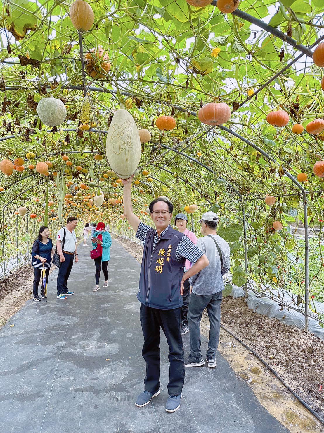 造橋是苗栗縣重要的南瓜產地