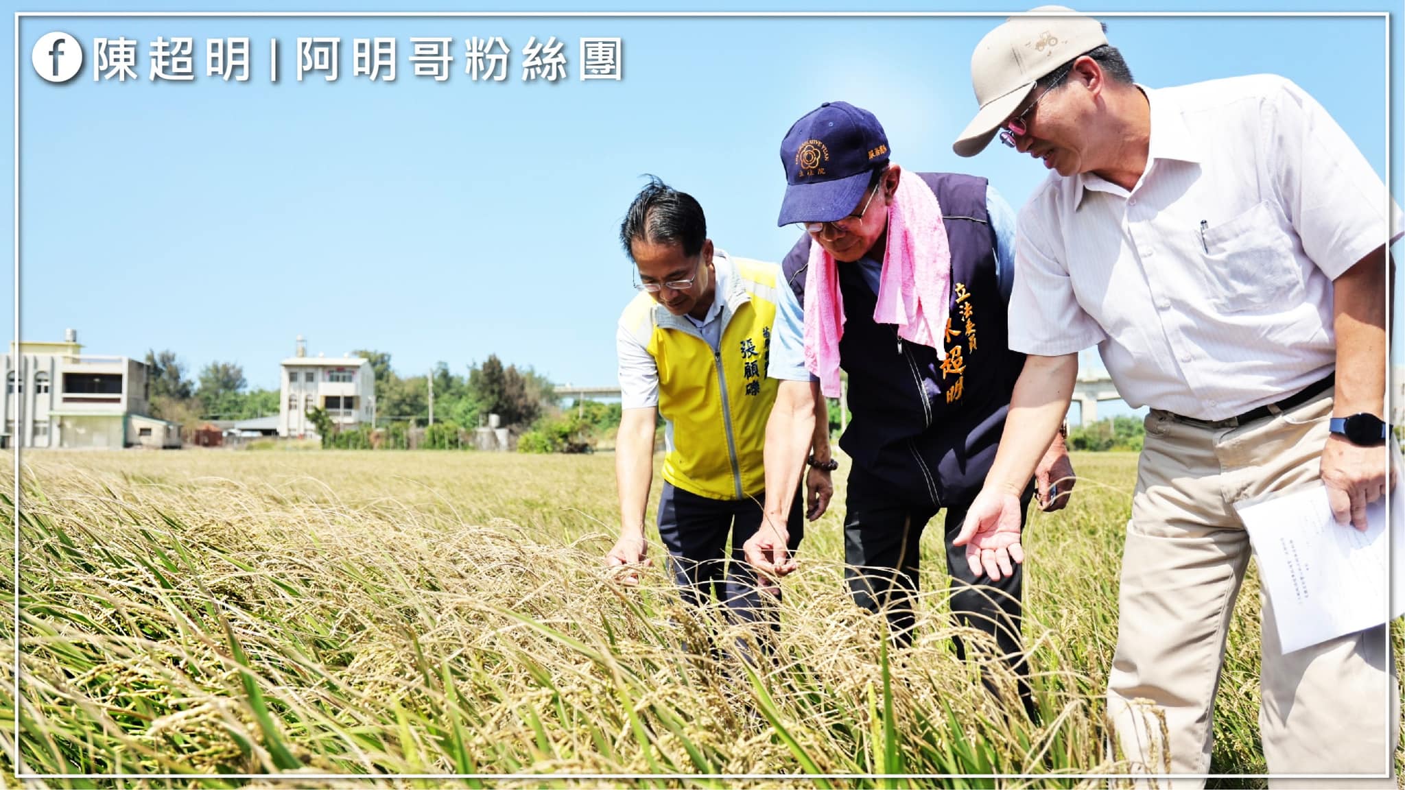 陳超明 爭取專案補助金 小犬颱風 過境造成全台農損將近3.7億元，多個縣市稻米受到鹽害影響，通霄苑裡稻米受鹽害影響