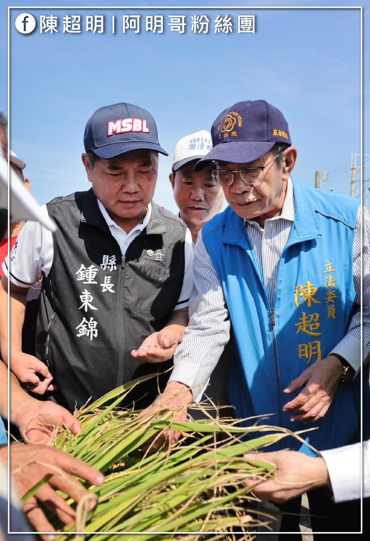 陳超明 成功爭取 後龍黑豆稻米 農糧署納入天然災害救助
